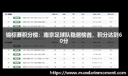 锦标赛积分榜：南京足球队稳居榜首，积分达到60分
